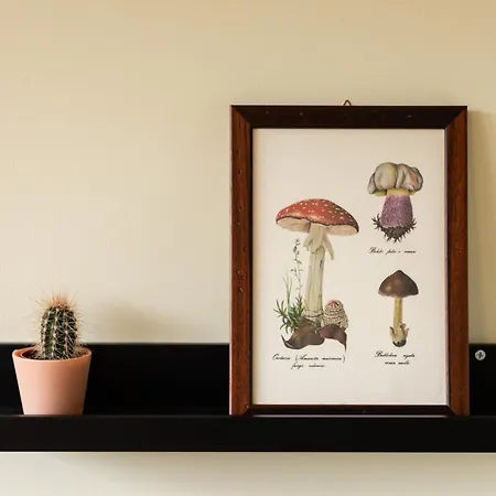 Appartement Alla Piana